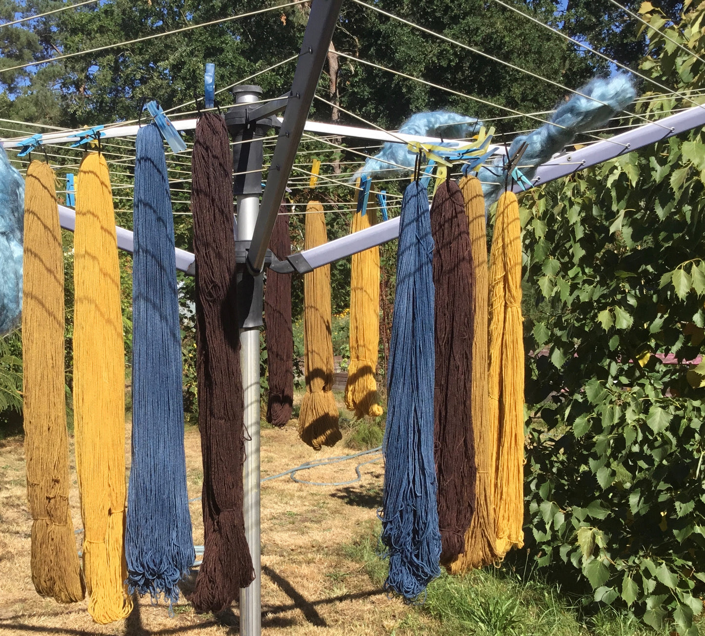 Workshop | Plantaardig wol kleuren | Zondag 10 september