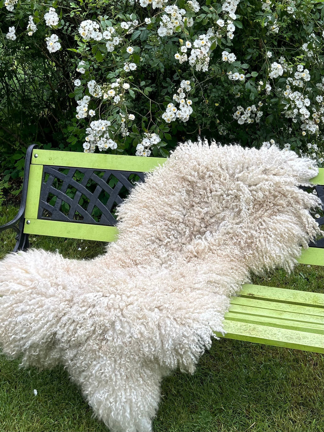 vachtvilten is een ambacht waarbij je een geschoren schapenvacht aaneen vilt met water en zeep