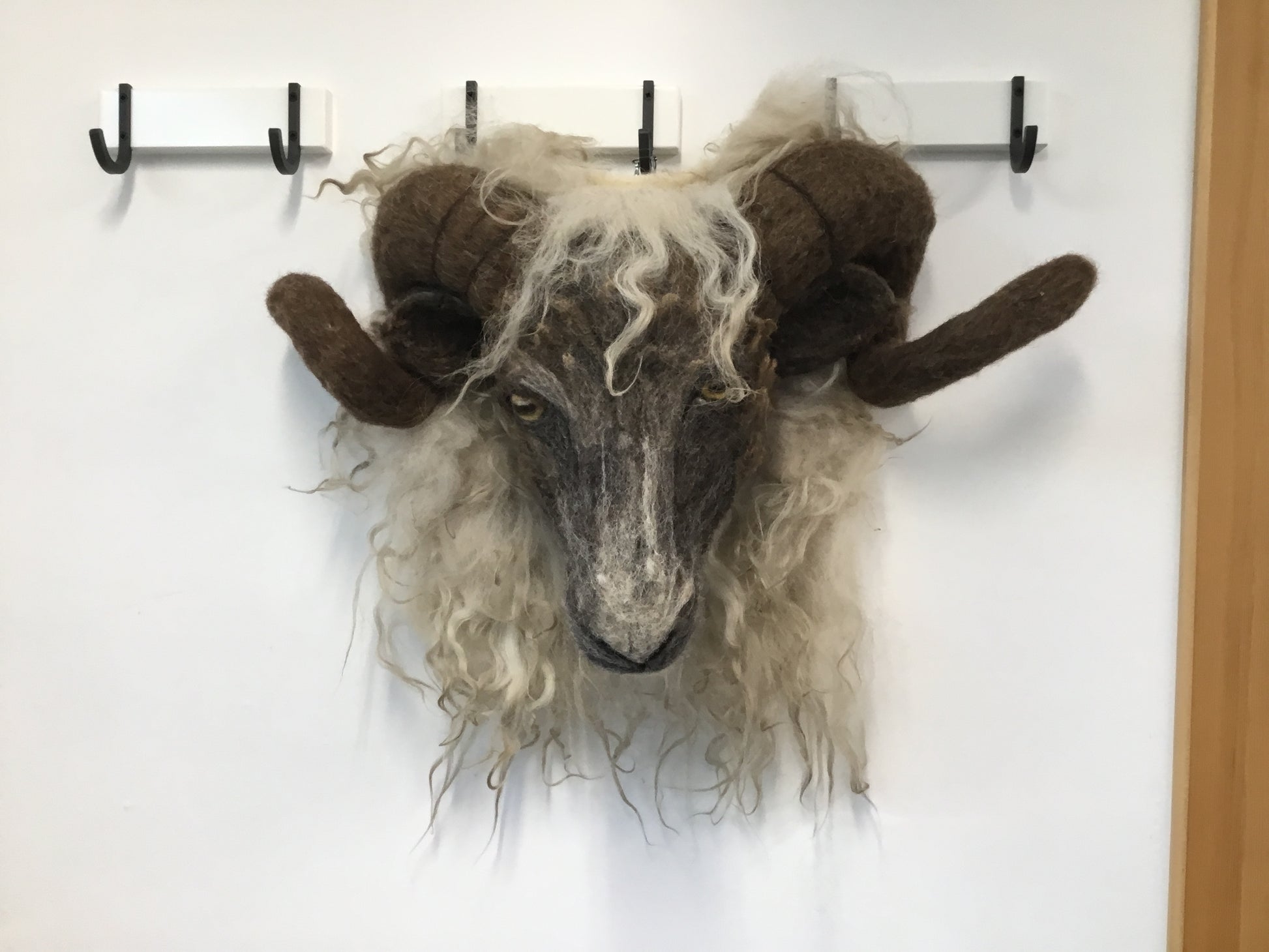 hij ziet er echt uit, maar deze schapenkop is volledig uit wol opgebouwd en met behulp van speciale viltnaalden tot dit levensgroot en levensecht geheel gevilt