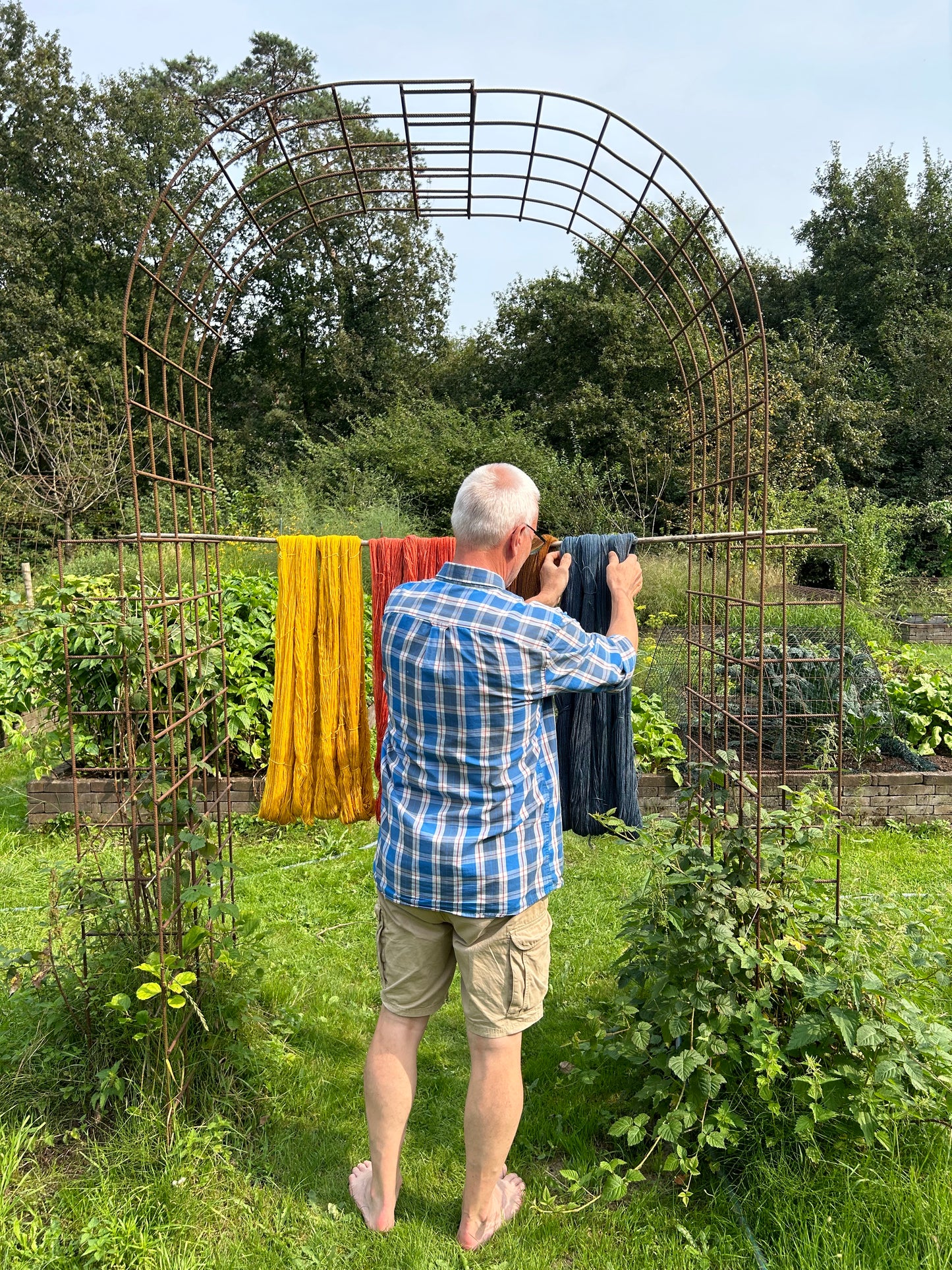 het resultaat van een workshop kleuren met planten: gele verfkamille, meekrap, coreopsis, Japanse indigo