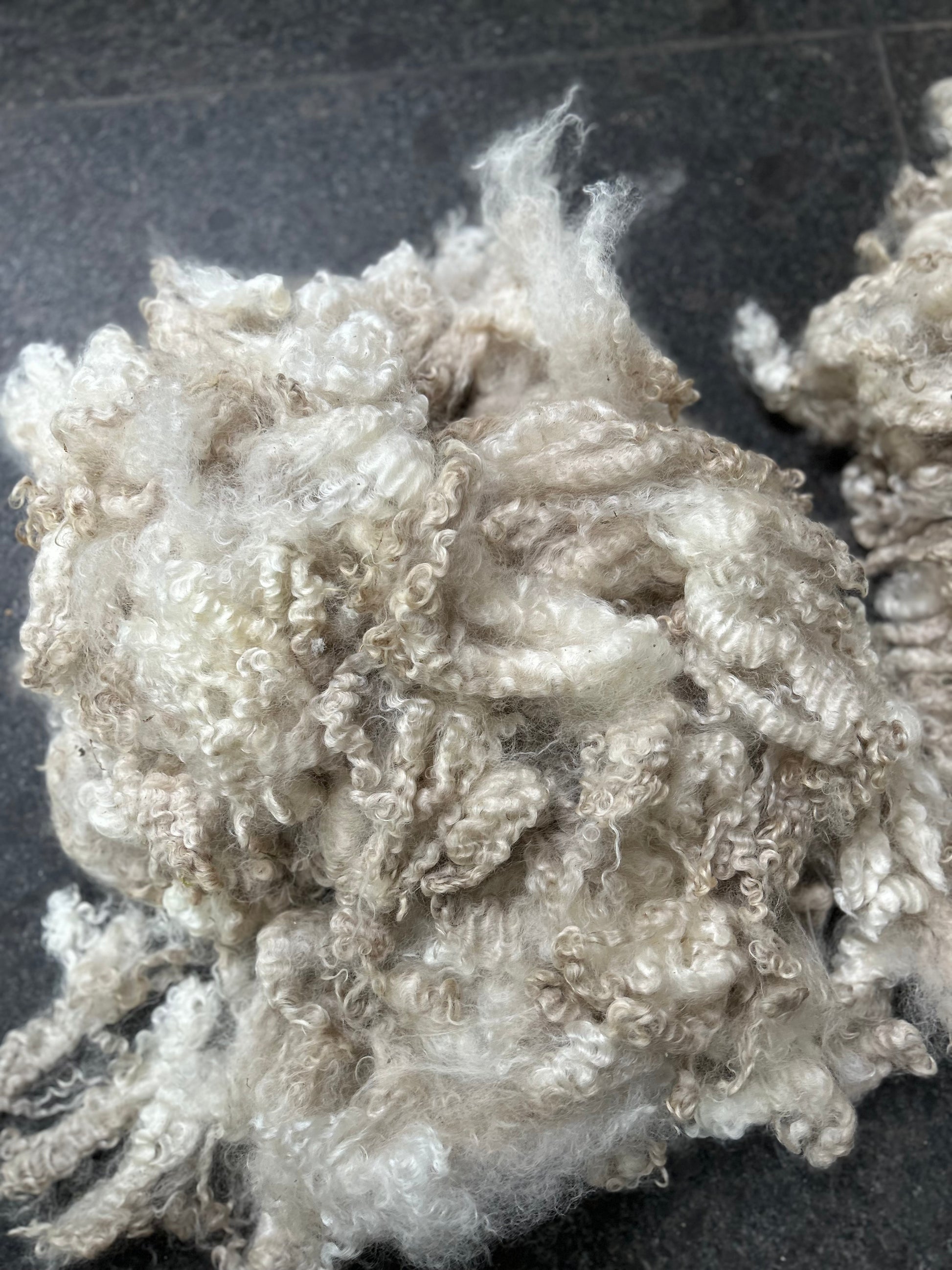 Young adult mohair met veel krimp en een lengte tussen 12 en 20 cm. 