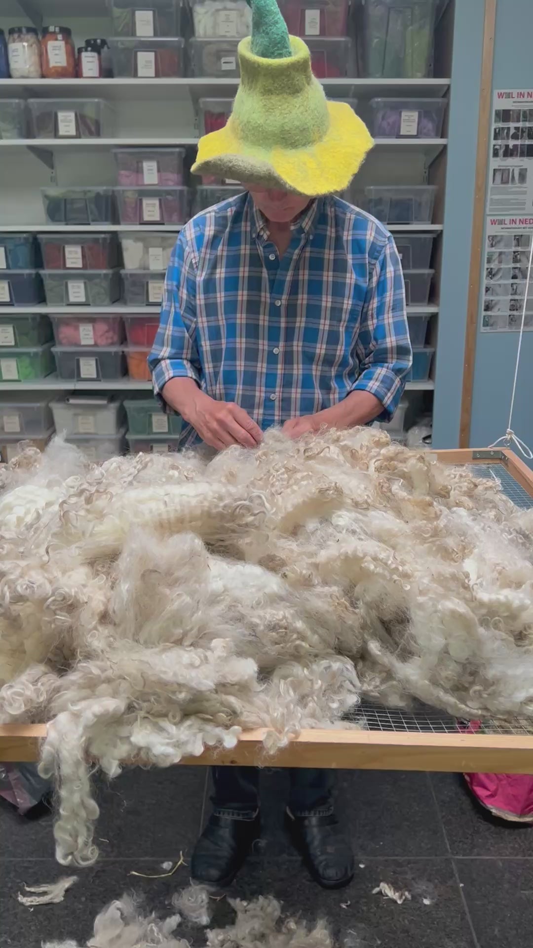 Sorteren van mohair. 